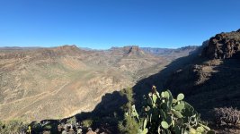 IMG_9328.jpeg IMG_9328.jpeg