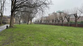 IMG_9915.jpeg
