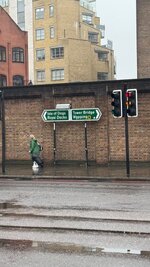 IMG_9922.jpeg