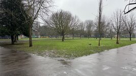 IMG_9935.jpeg