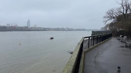 IMG_9942.jpeg