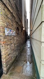 IMG_9954.jpeg