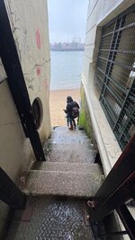 IMG_9955.jpeg