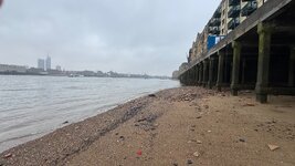 IMG_9958.jpeg