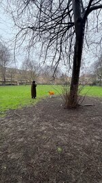 IMG_9982.jpeg