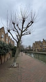 IMG_0047.jpeg