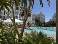 IMG_4681.jpeg