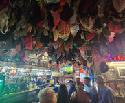 IMG_4686.jpeg