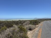 IMG_4705.jpeg