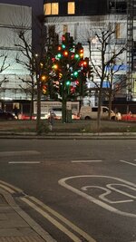 IMG_0361.jpeg