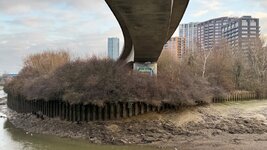 IMG_0413.jpeg