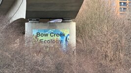 IMG_0414.jpeg