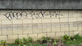 IMG_0415.jpeg
