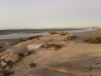 IMG_4745.jpeg