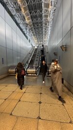 IMG_0441.jpeg