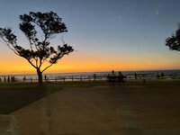 IMG_4775.jpeg