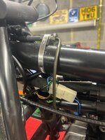 IMG_7565.jpeg