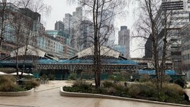 IMG_0542.jpeg