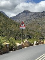 IMG_4053.jpeg