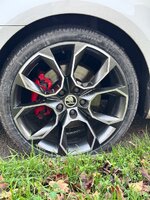 IMG_5491.jpeg