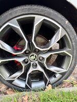 IMG_5490.jpeg