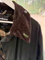 IMG_7919.jpeg