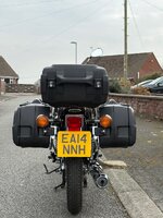 IMG_0597.jpeg
