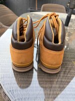 IMG_8437.jpeg