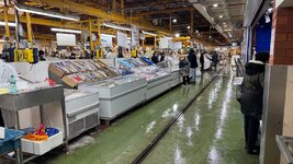IMG_0589.jpeg