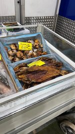 IMG_0590.jpeg