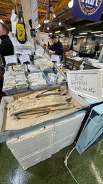 IMG_0598.jpeg