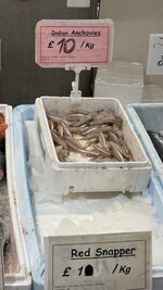 IMG_0601.jpeg