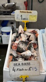 IMG_0602.jpeg