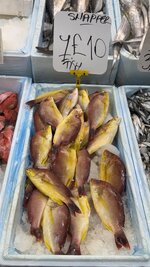 IMG_0603.jpeg
