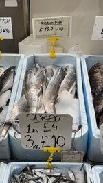 IMG_0605.jpeg