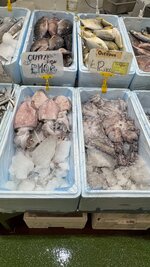 IMG_0608.jpeg