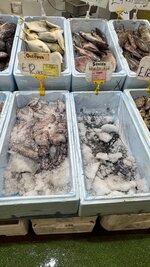IMG_0609.jpeg