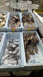 IMG_0610.jpeg