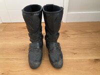 IMG_7782.jpeg