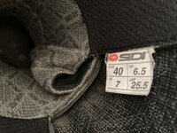 IMG_7784.jpeg
