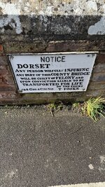 IMG_0762.jpeg