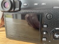 IMG_3185.jpeg IMG_3185.jpeg