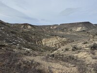 IMG_4921.jpeg
