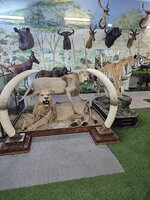 20250223_125422.jpg