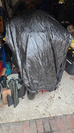 IMG_0796.jpeg