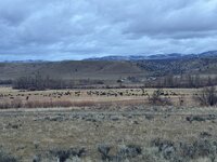 IMG_4955.jpeg