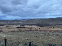 IMG_4956.jpeg