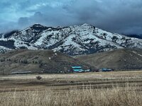 IMG_4958.jpeg