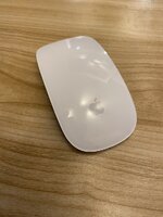 IMG_6184.jpeg