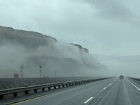 IMG_4979.jpeg